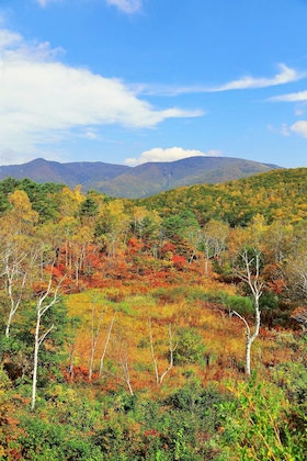Gallery - Okushiga Kogen Hotel