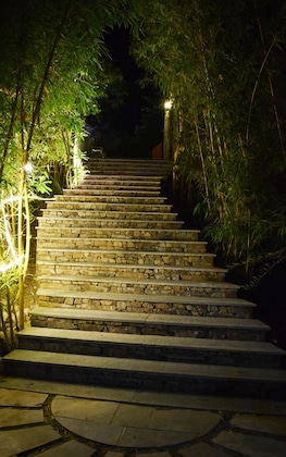 Gallery - Kumbhalgarh Forest Retreat