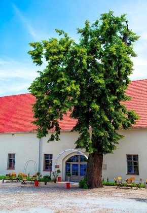 Gallery - Pałac Wiechlice