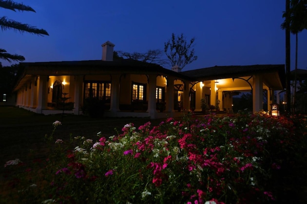 Gallery - Parisons Plantation Experiences By Abad