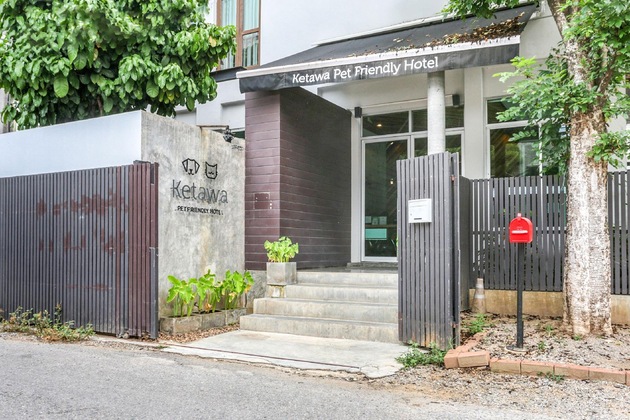 Gallery - Ketawa Pet Friendly Hotel