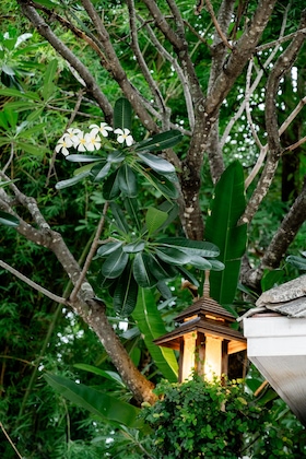 Gallery - Tolani Southgate Villa Chiang Mai