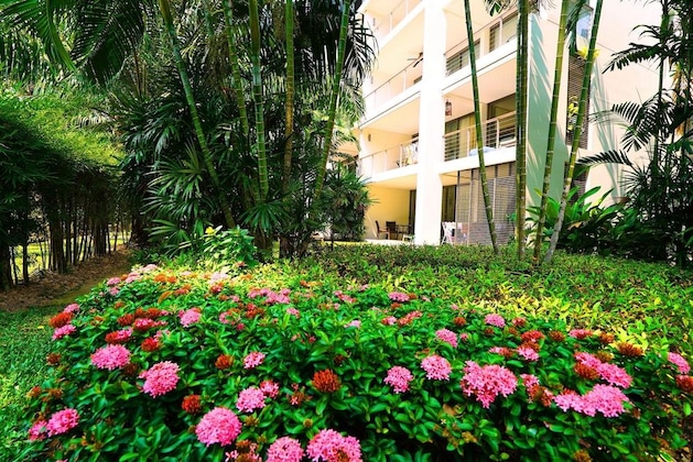 Gallery - Casuarina Shores