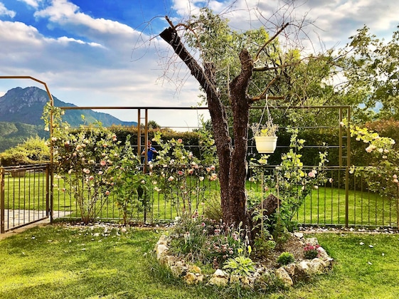 Gallery - Montebello