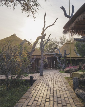 Gallery - Jabulani Safari Relais & Chateaux