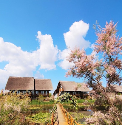 Gallery - Green Village Resort