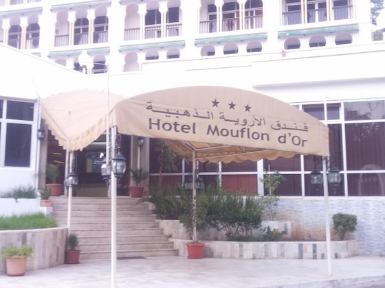 Gallery - Moflon D’Or
