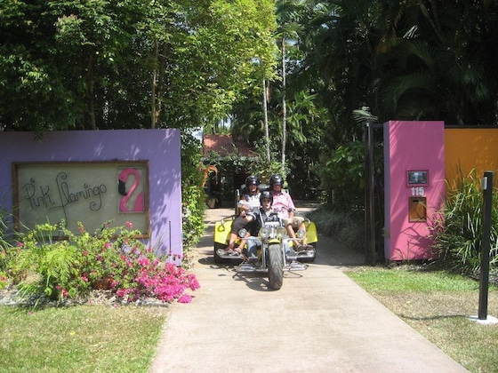 Gallery - Pink Flamingo Resort
