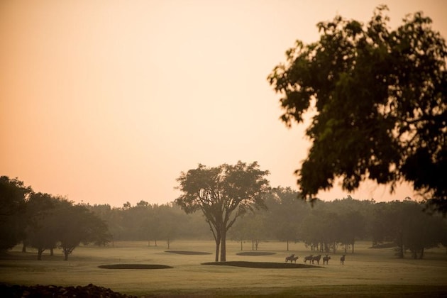 Gallery - Nkonyeni Lodge & Golf Estate