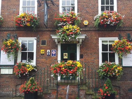 Gallery - Falcon Inn