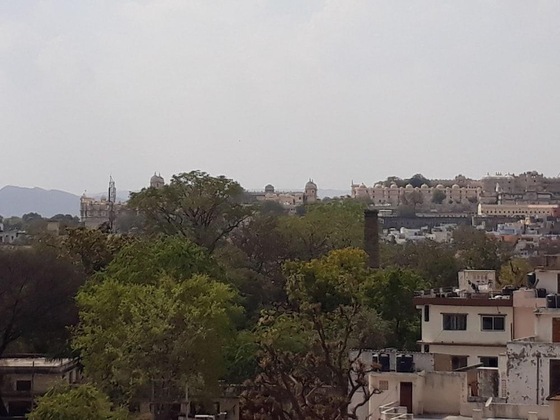 Gallery - Hotel Padmini Palace