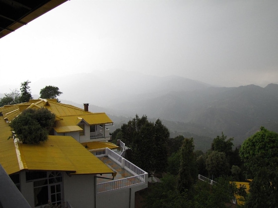Gallery - Te Aroha Dhanachuli