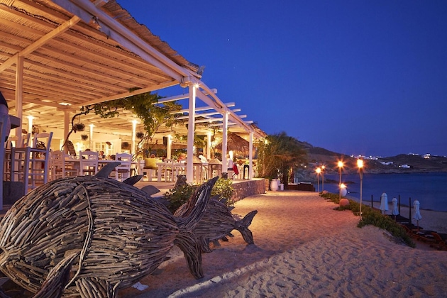 Gallery - Hippie Chic Hotel