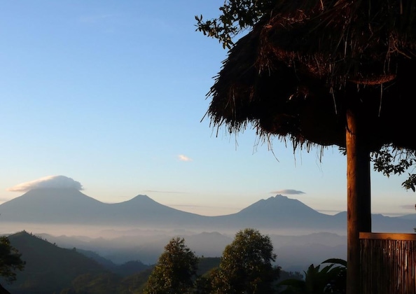 Gallery - Nkuringo Bwindi Gorilla Lodge