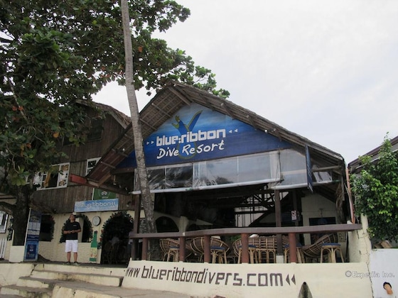 Gallery - Blue Lagoon Dive Resort
