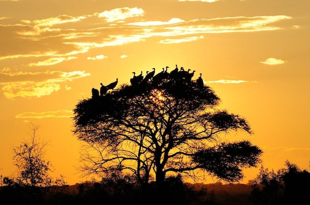 Gallery - Morokolo Safari Lodge