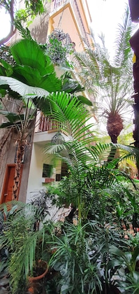 Gallery - Hotel Humuya Inn