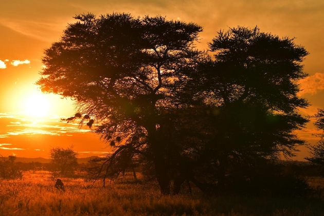 Gallery - Ohange Namibia Lodge