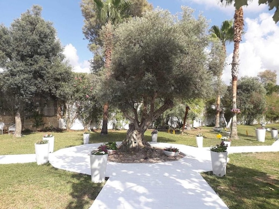 Gallery - El Yam Luxury Resort