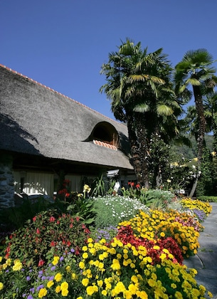 Gallery - Dépendance Albergo Losone