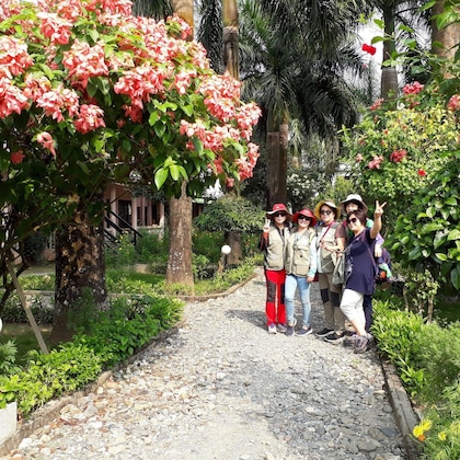 Gallery - Sauraha Resort
