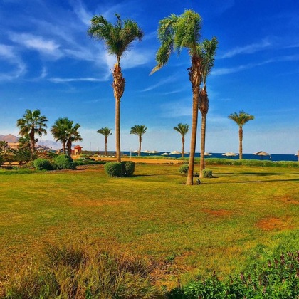 Gallery - Dome Marina Hotel & Resort