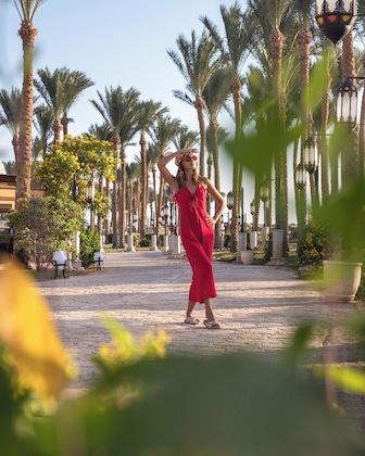 Gallery - Makadi Palace - Couples And Families Only - All Inclusive