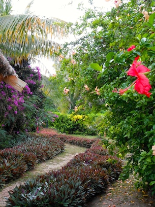 Gallery - Viwa Island Resort