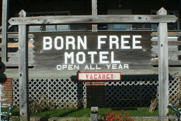 Gallery - Born Free Suites By The Sea