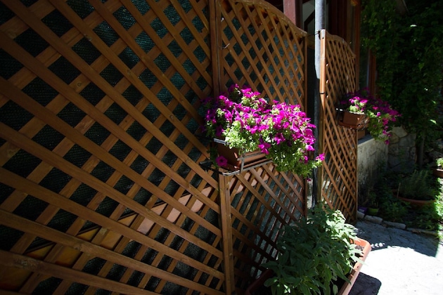 Gallery - Hotel Corona