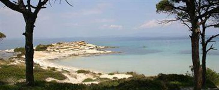 Gallery - Avra Hotel