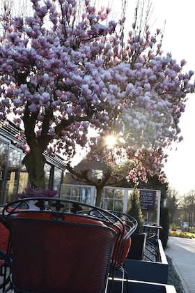 Gallery - Paviljoen Hotel