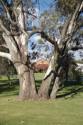 Gallery - Serafino Mclaren Vale