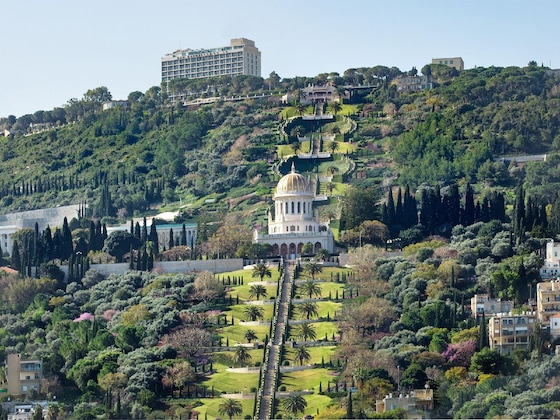 Gallery - Golden Crown Haifa