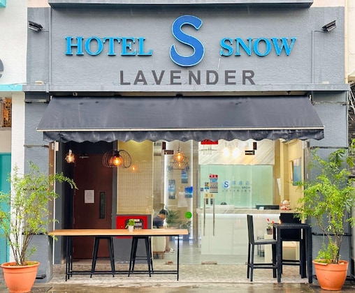 Gallery - Hotel Snow Lavender