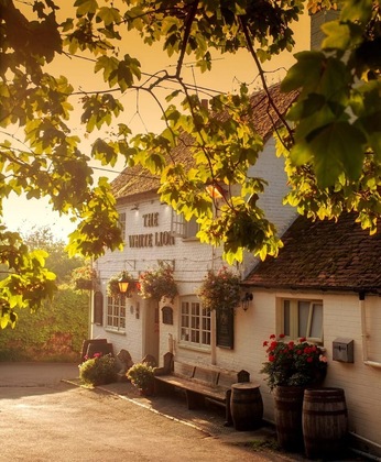 Gallery - The White Lion