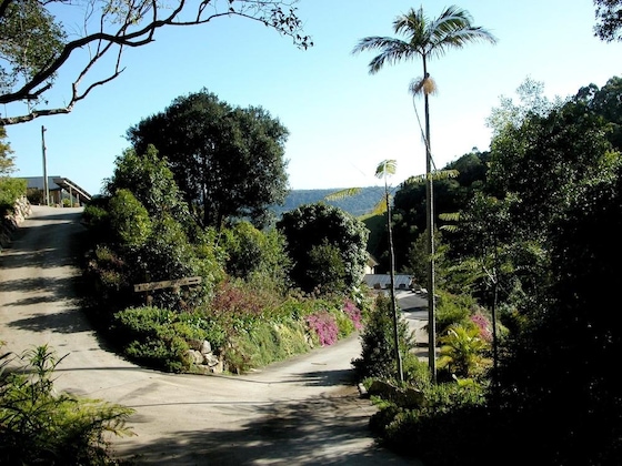 Gallery - Top Of The Hill