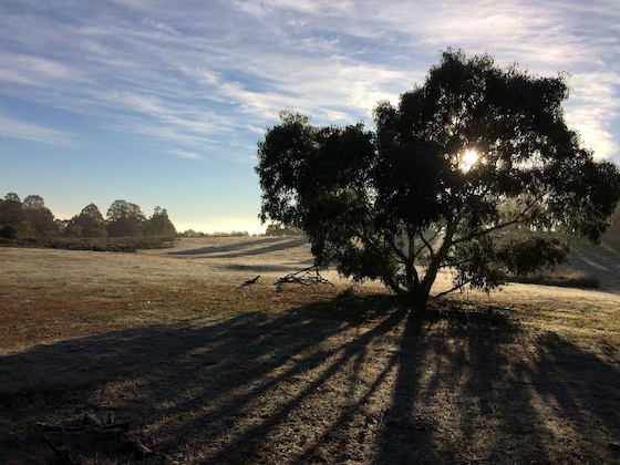 Gallery - Grampians Pioneer Cottages