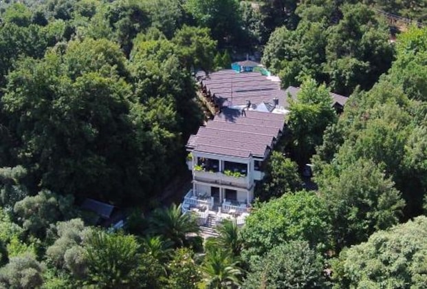 Gallery - Miramare