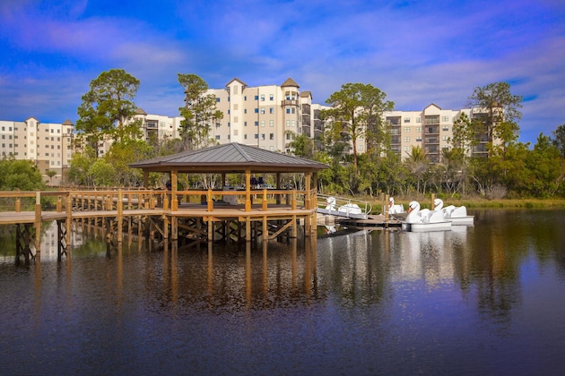 Gallery - The Grove Resort & Water Park Orlando