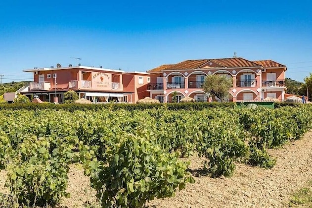 Gallery - Grapevines Hotel