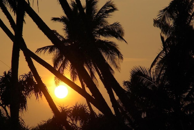 Gallery - Lanka Beach Bungalows