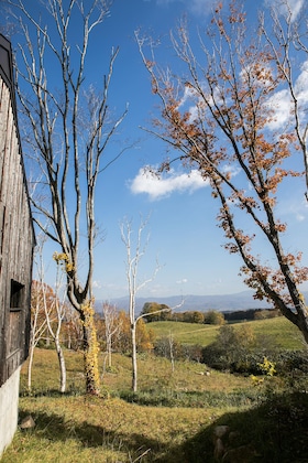Gallery - Zaborin
