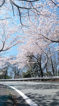 Gallery - Laforet Shuzenji Sanshisuimei