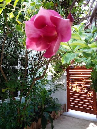 Gallery - Ras Village