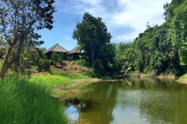 Gallery - Thap Pala Cottage