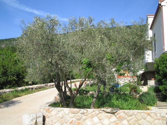 Gallery - Apartments Ljubo & Lili