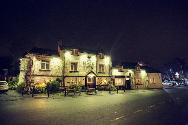 Gallery - The Black Swan