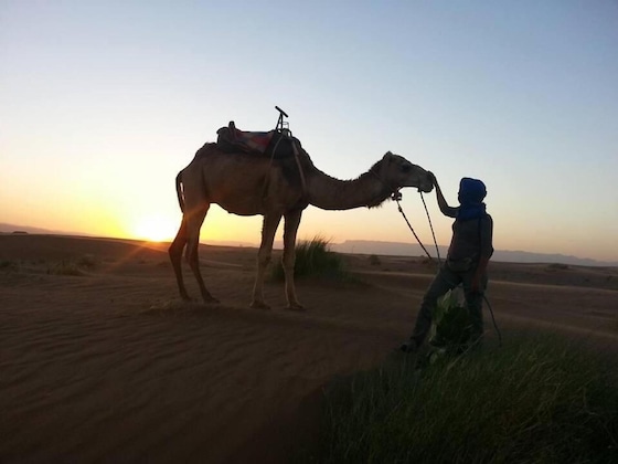Gallery - Bivouac Karim Sahara