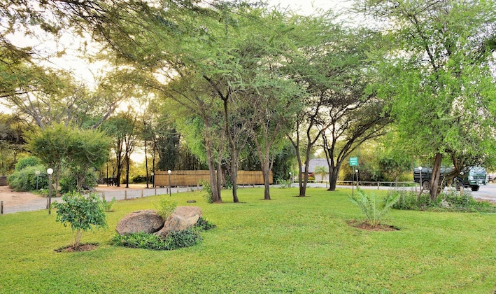 Gallery - Thebe River Safaris